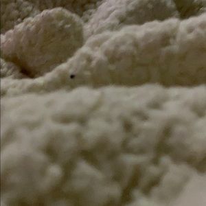 Meet your Posher, Narisha